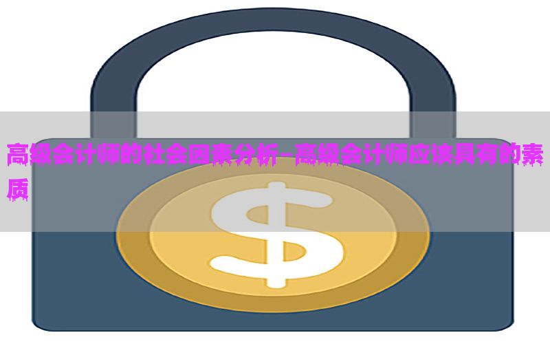 高级会计师的社会因素分析-高级会计师应该具有的素质