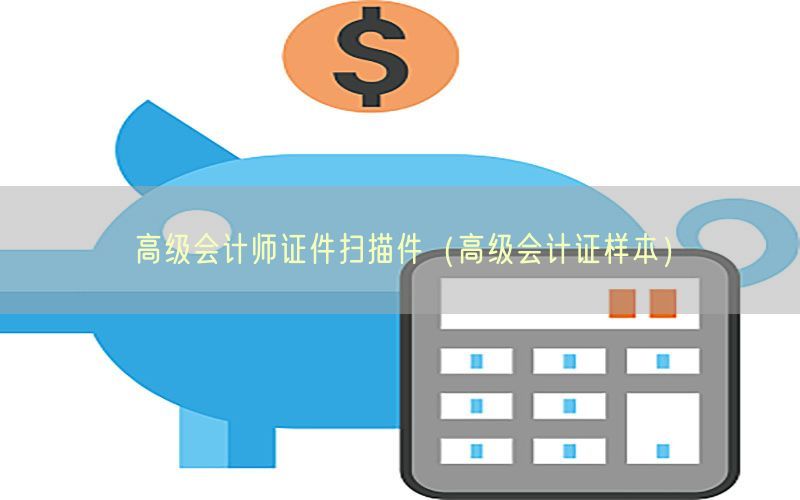 高级会计师证件扫描件（高级会计证样本）