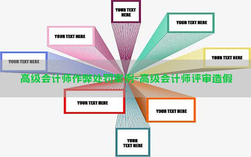 高级会计师作弊处罚案例-高级会计师评审造假