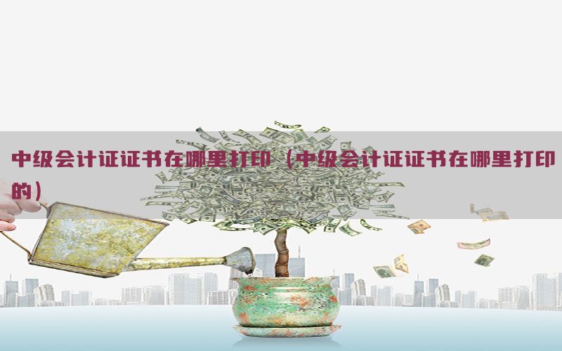 中级会计证证书在哪里打印（中级会计证证书在哪里打印的）