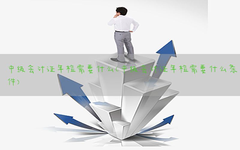 中级会计证年检需要什么（中级会计证年检需要什么条件）