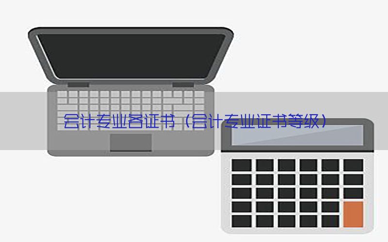 会计专业各证书（会计专业证书等级）