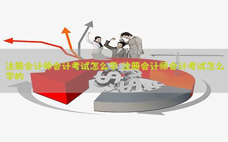 注册会计师会计考试怎么学（注册会计师会计考试怎么学的）