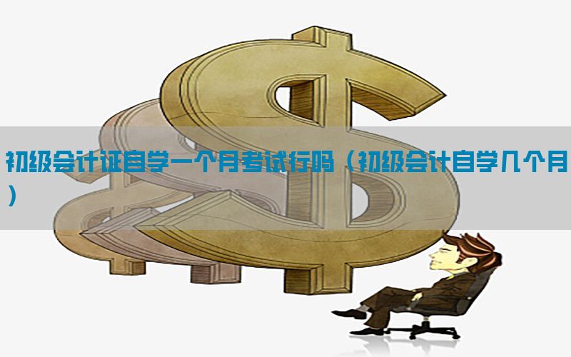 初级会计证自学一个月考试行吗（初级会计自学几个月）
