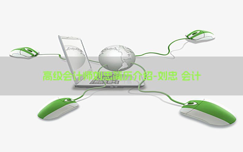 高级会计师刘忠简历介绍-刘忠 会计