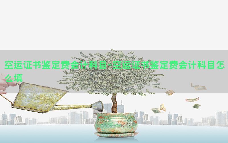 空运证书鉴定费会计科目-空运证书鉴定费会计科目怎么填