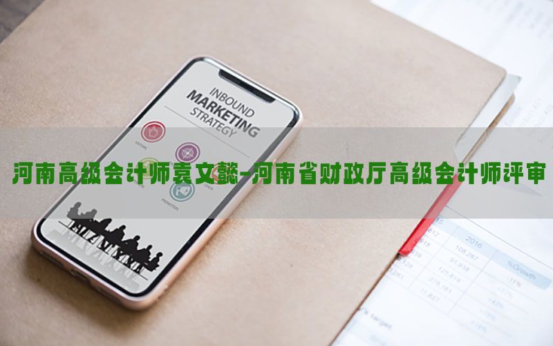 河南高级会计师袁文懿-河南省财政厅高级会计师评审
