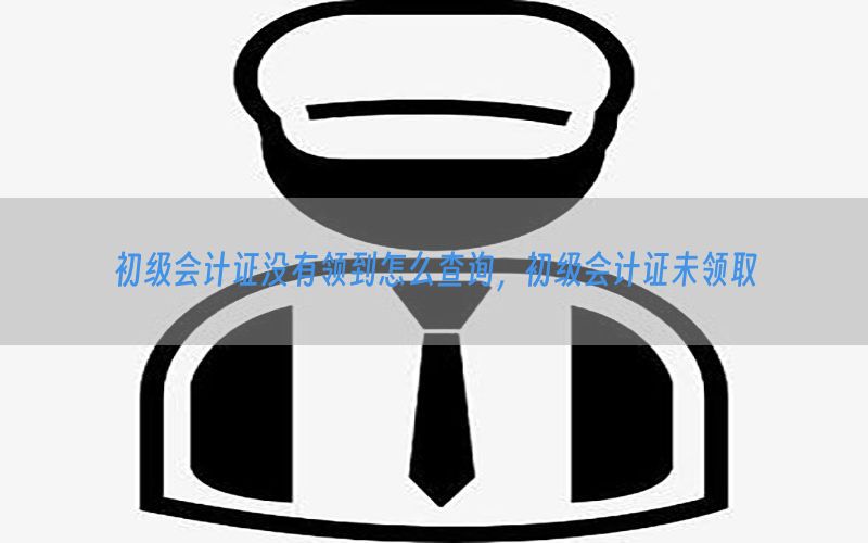初级会计证没有领到怎么查询，初级会计证未领取