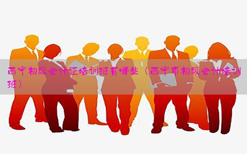 西宁初级会计证培训班有哪些（西宁市初级会计培训班）