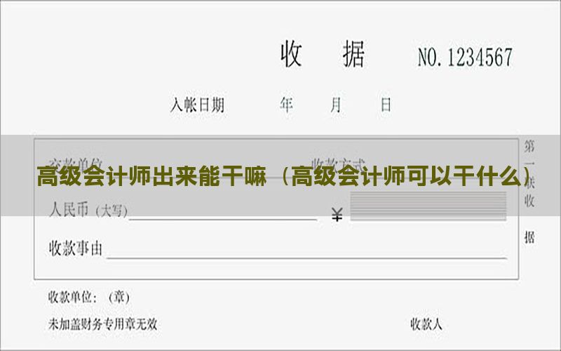高级会计师出来能干嘛（高级会计师可以干什么）
