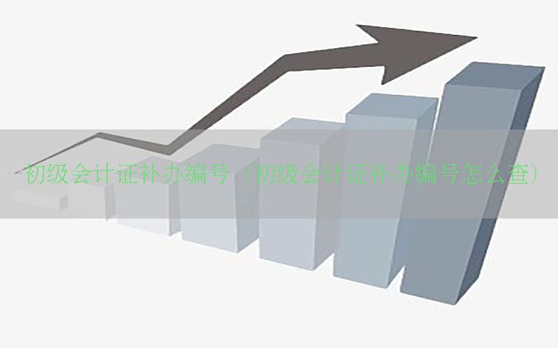 初级会计证补办编号（初级会计证补办编号怎么查）