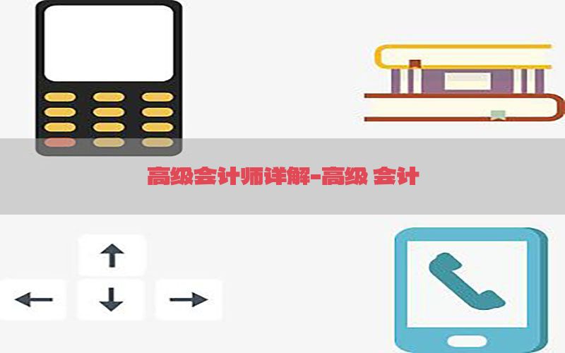 高级会计师详解-高级 会计