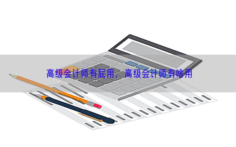 高级会计师有屁用，高级会计师有啥用