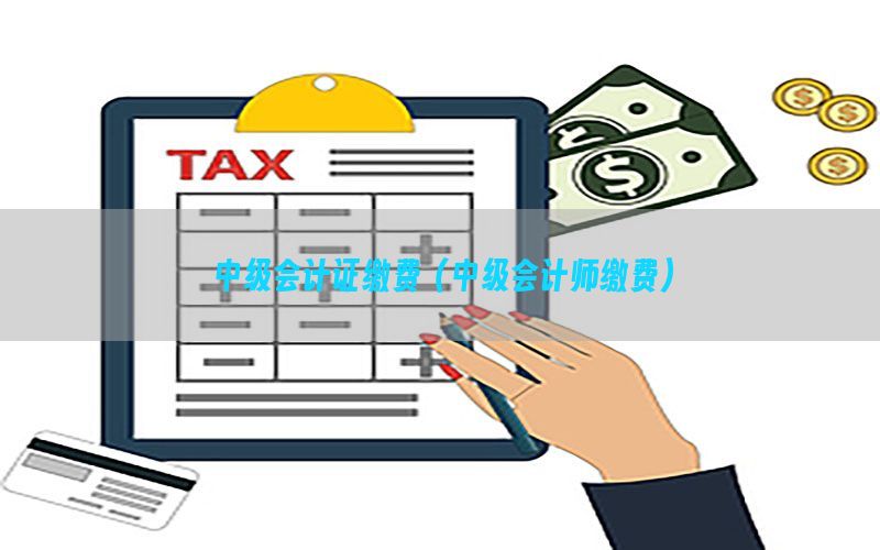 中级会计证缴费（中级会计师缴费）