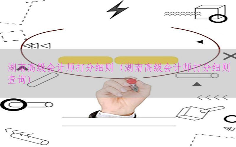 湖南高级会计师打分细则（湖南高级会计师打分细则查询）
