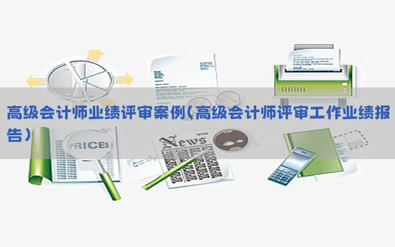 高级会计师业绩评审案例（高级会计师评审工作业绩报告）