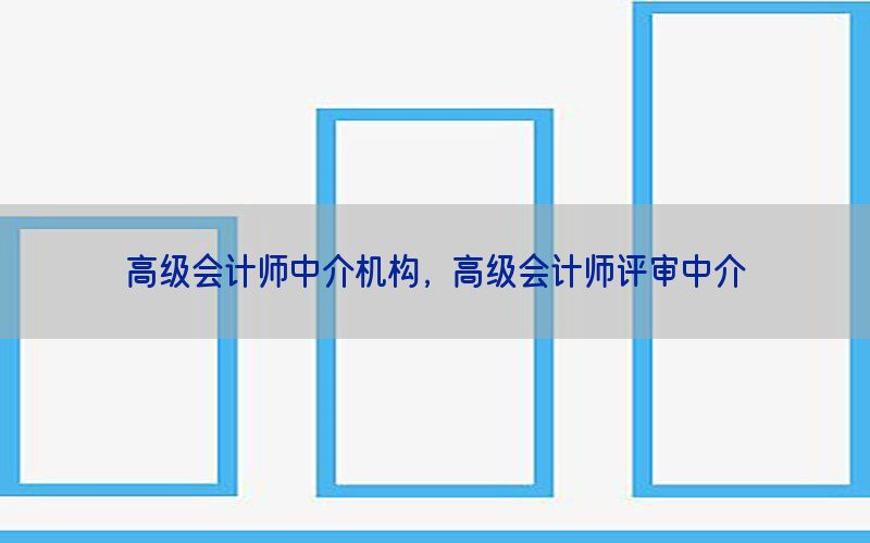高级会计师中介机构，高级会计师评审中介