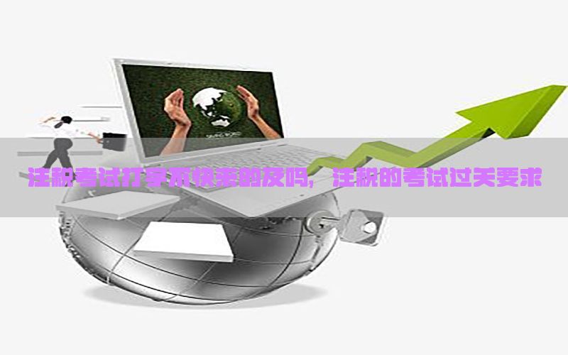 注税考试打字不快来的及吗，注税的考试过关要求