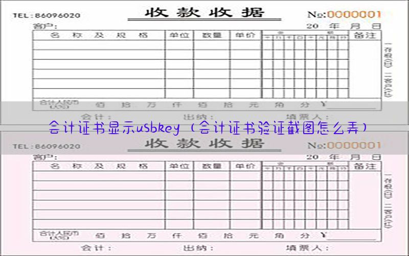 会计证书显示usbkey（会计证书验证截图怎么弄）