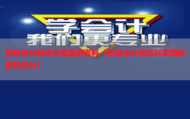 高级会计师高乐军简历资料（高级会计师高乐军简历资料图片）