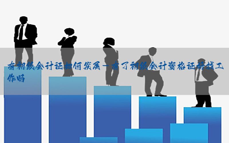 有初级会计证如何发展-有了初级会计资格证好找工作吗