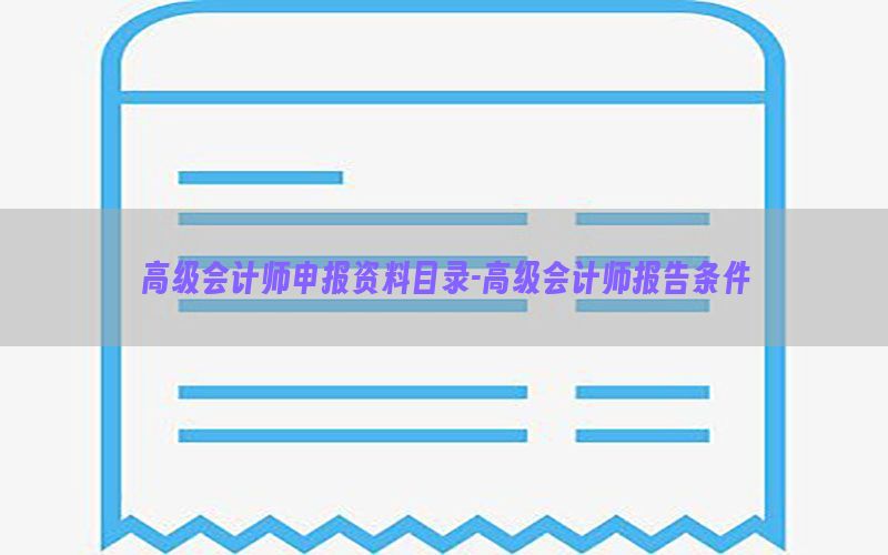 高级会计师申报资料目录-高级会计师报告条件