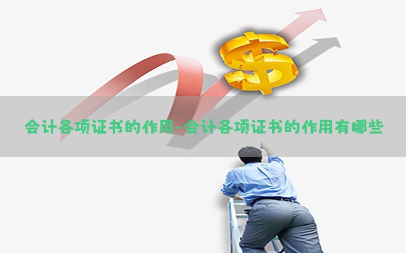 会计各项证书的作用-会计各项证书的作用有哪些