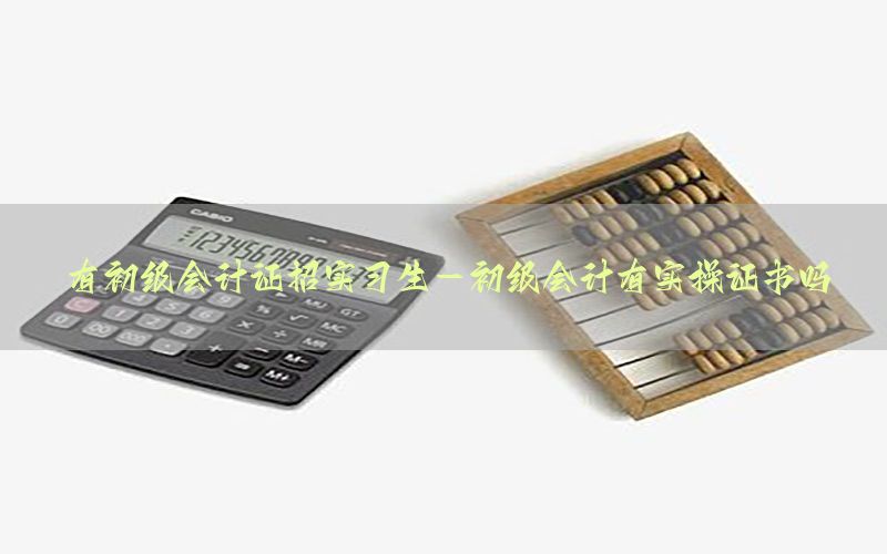 有初级会计证招实习生-初级会计有实操证书吗