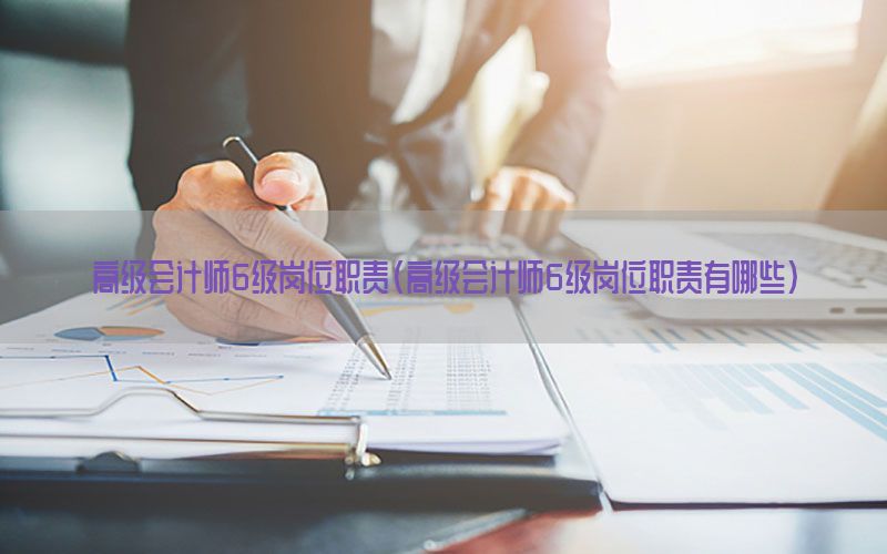 高级会计师6级岗位职责（高级会计师6级岗位职责有哪些）