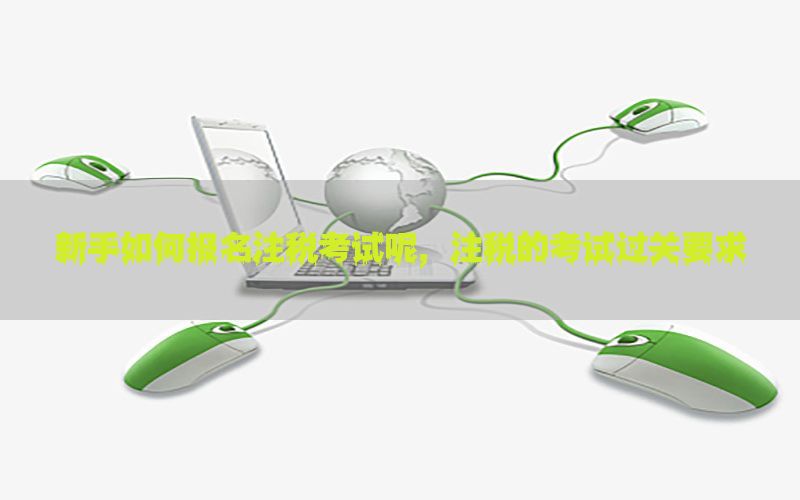 新手如何报名注税考试呢，注税的考试过关要求