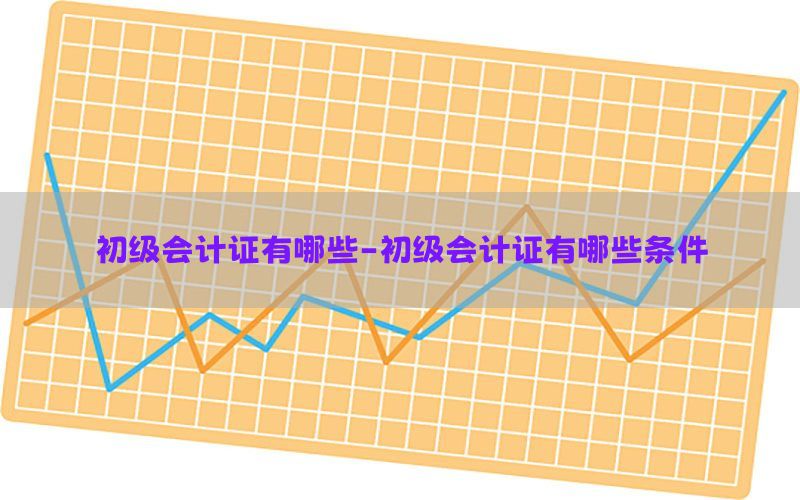 初级会计证有哪些-初级会计证有哪些条件