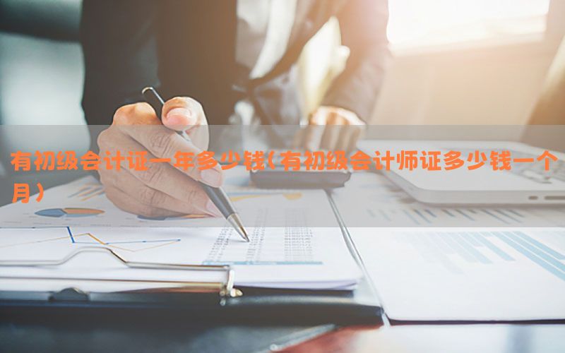 有初级会计证一年多少钱（有初级会计师证多少钱一个月）