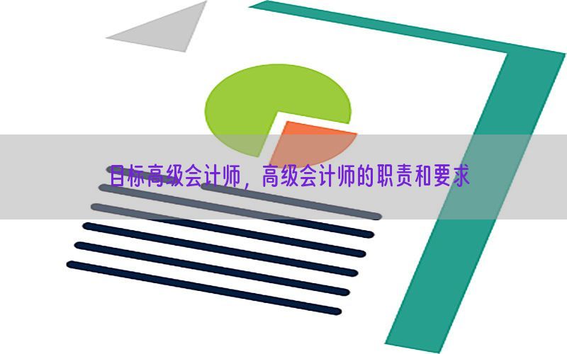 目标高级会计师，高级会计师的职责和要求