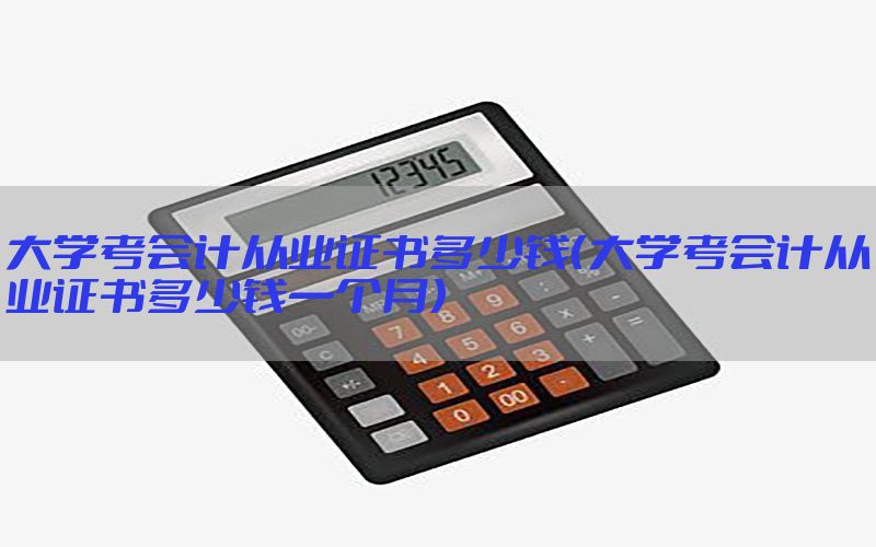 大学考会计从业证书多少钱（大学考会计从业证书多少钱一个月）
