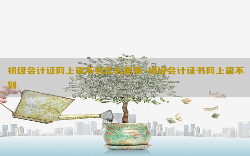 初级会计证网上查不到怎么回事-初级会计证书网上查不到