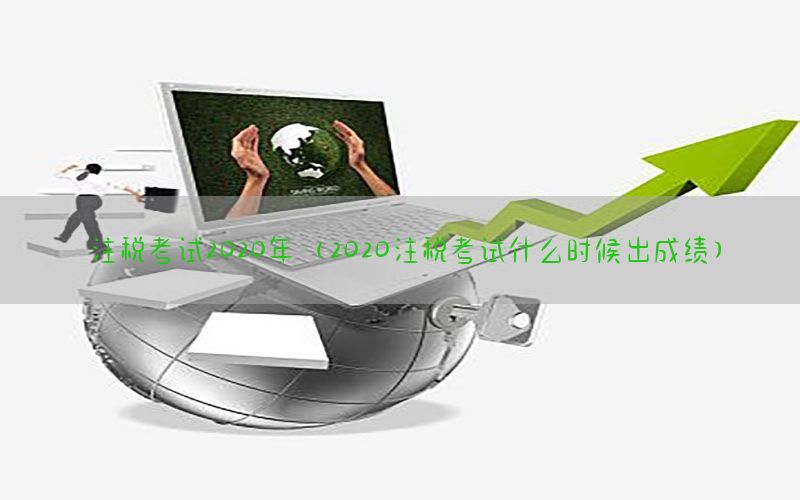 注税考试2020年（2020注税考试什么时候出成绩）