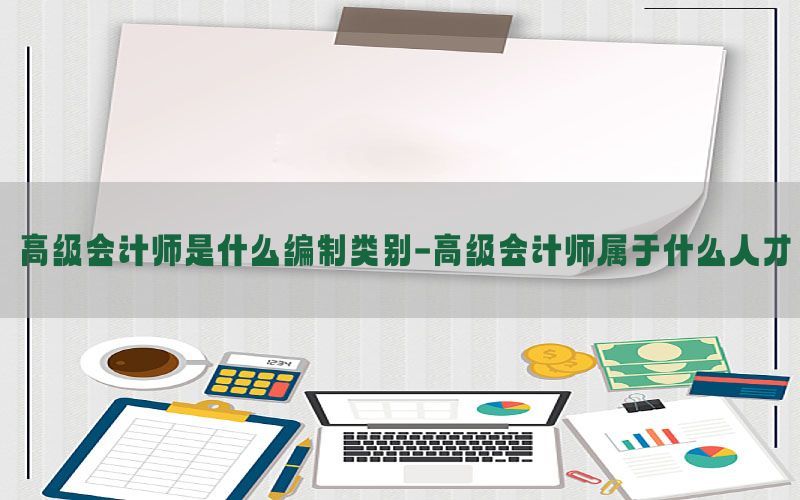 高级会计师是什么编制类别-高级会计师属于什么人才