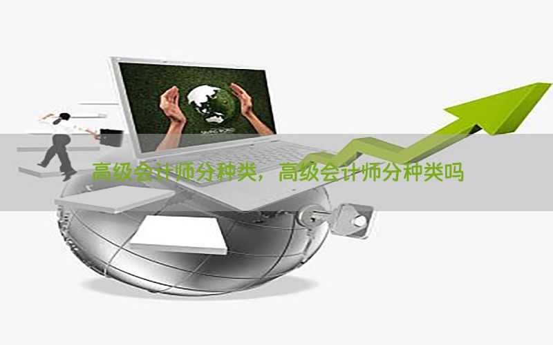 高级会计师分种类，高级会计师分种类吗
