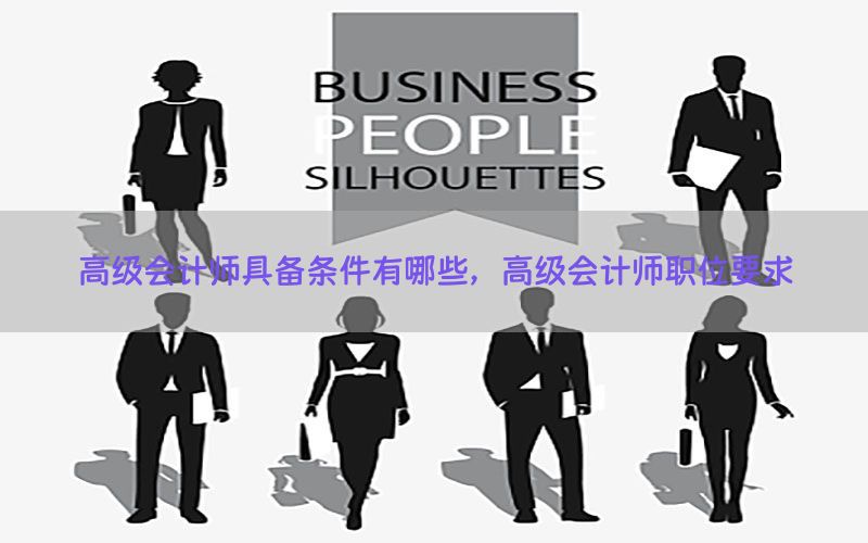 高级会计师具备条件有哪些，高级会计师职位要求