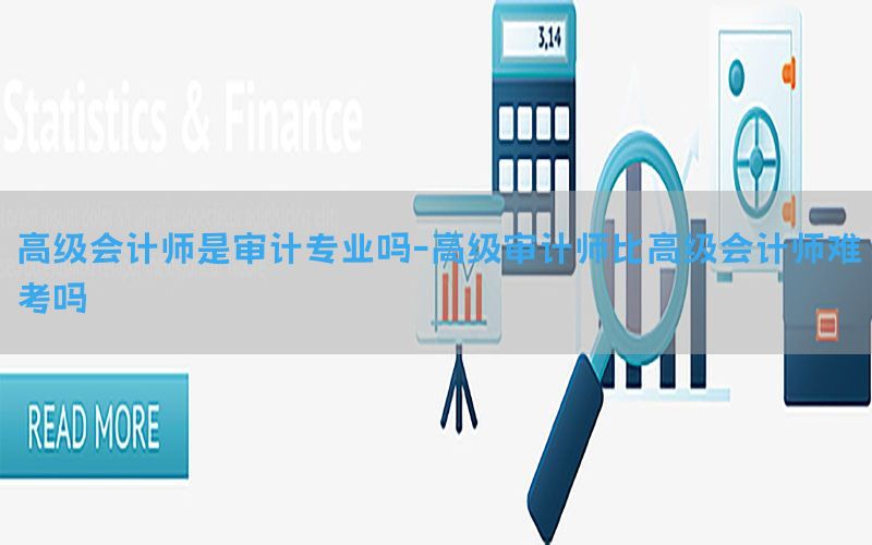 高级会计师是审计专业吗-高级审计师比高级会计师难考吗