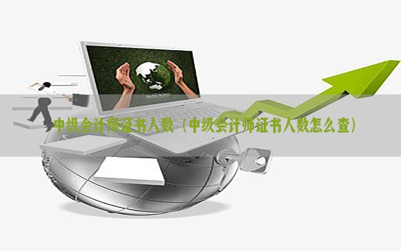 中级会计师证书人数（中级会计师证书人数怎么查）