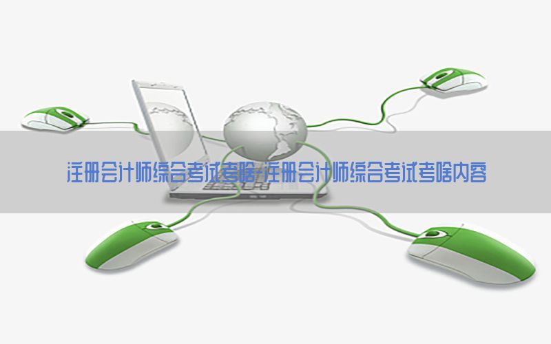 注册会计师综合考试考啥-注册会计师综合考试考啥内容