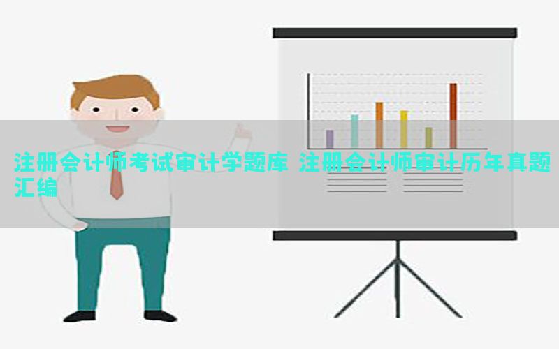 注册会计师考试审计学题库（注册会计师审计历年真题汇编）