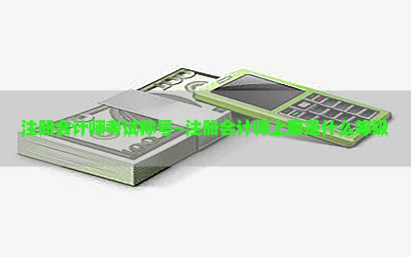 注册会计师考试称号-注册会计师上面是什么等级