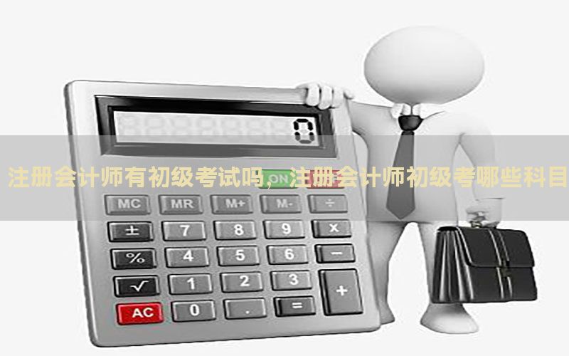 注册会计师有初级考试吗，注册会计师初级考哪些科目