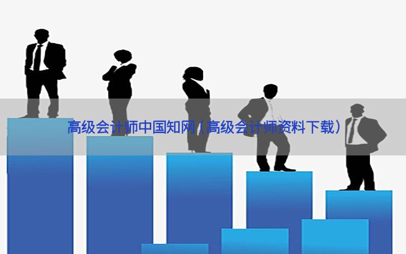 高级会计师中国知网（高级会计师资料下载）