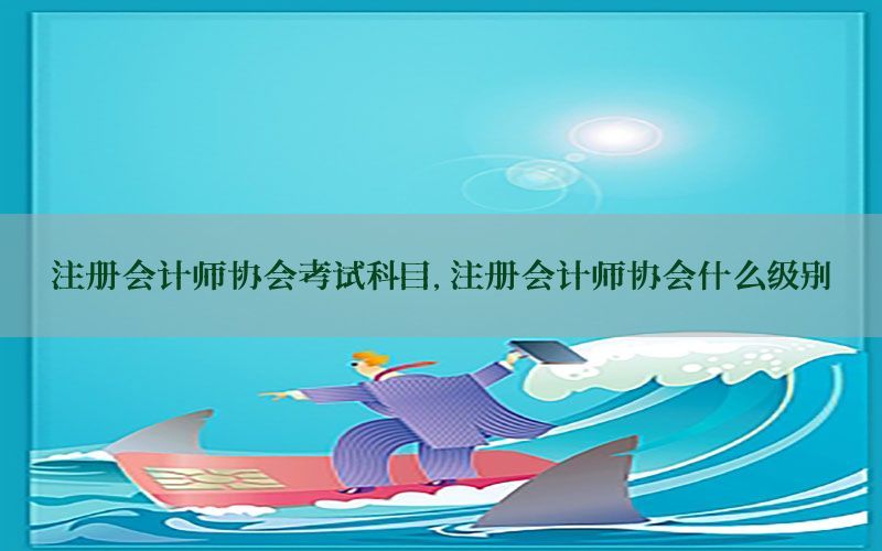 注册会计师协会考试科目，注册会计师协会什么级别