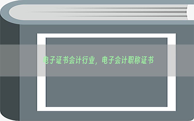电子证书会计行业，电子会计职称证书