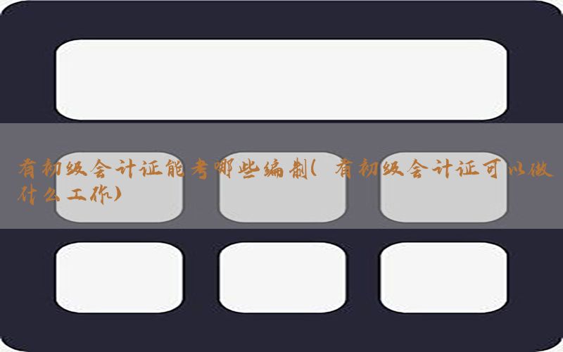 有初级会计证能考哪些编制（有初级会计证可以做什么工作）