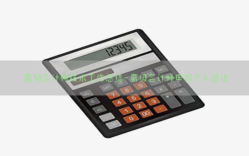 高级会计师技术工作总结-高级会计师申报个人总结